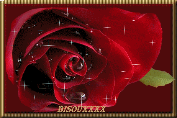 BISOUS ROSES 